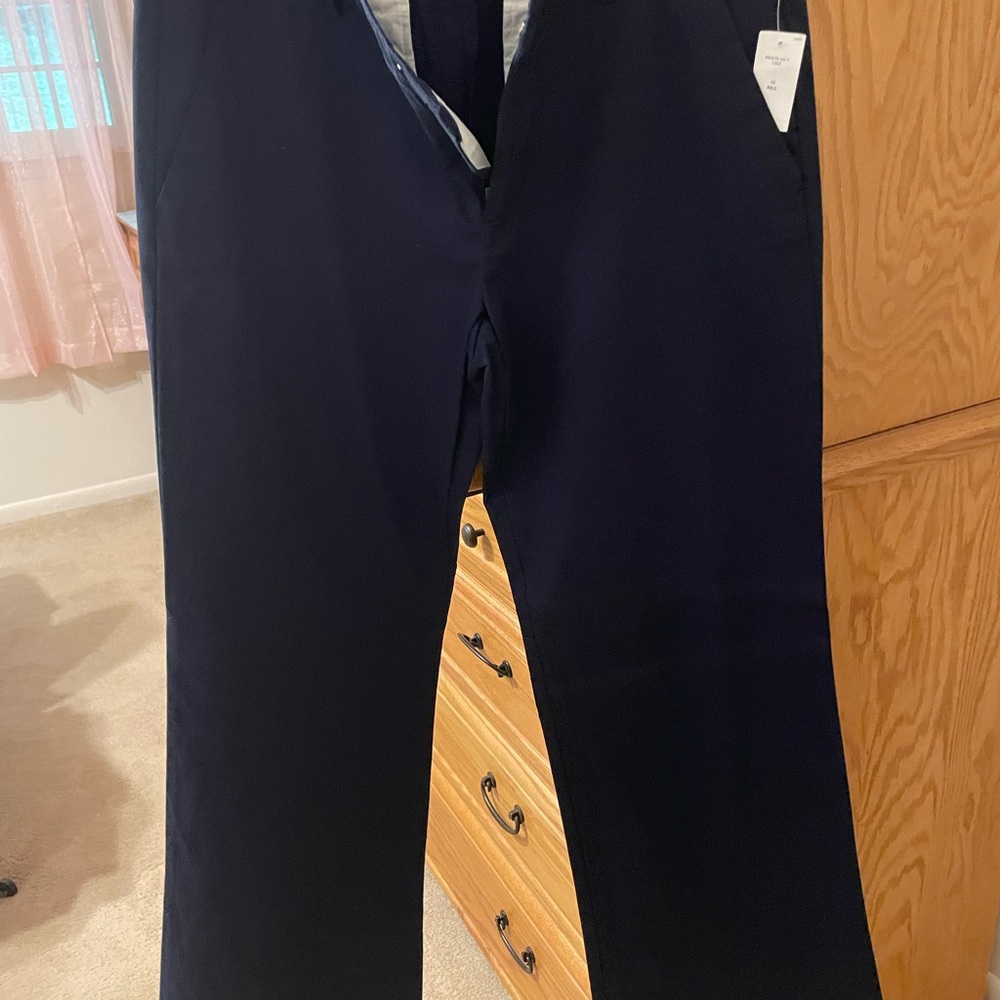 GAP Women's Navy Flare Pants